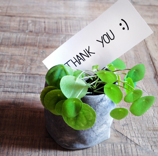 thankyou